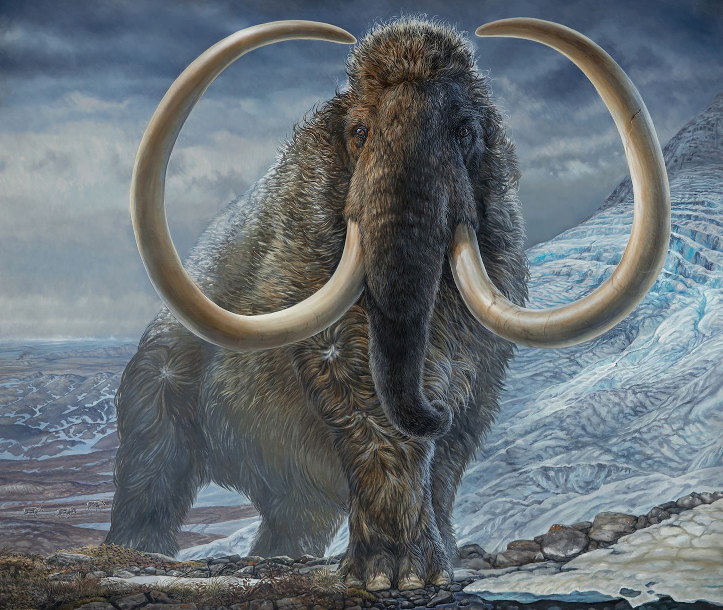 Matainais mamuts mākslinieka interpretācijā