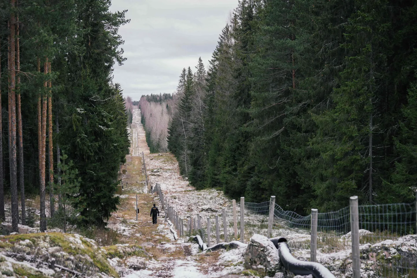 Raksta foto