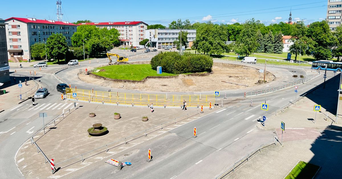 Выкопанные с нарвского кольцевого перекрестка розы может забрать себе ...