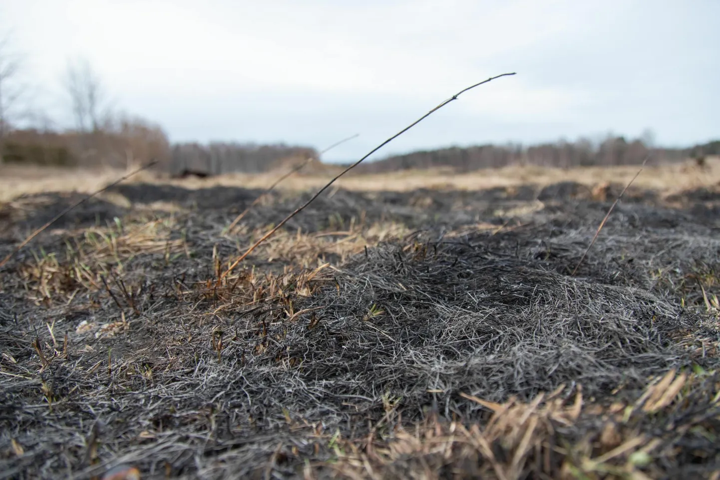 Kulupõleng. Pilt on illustreeriv.