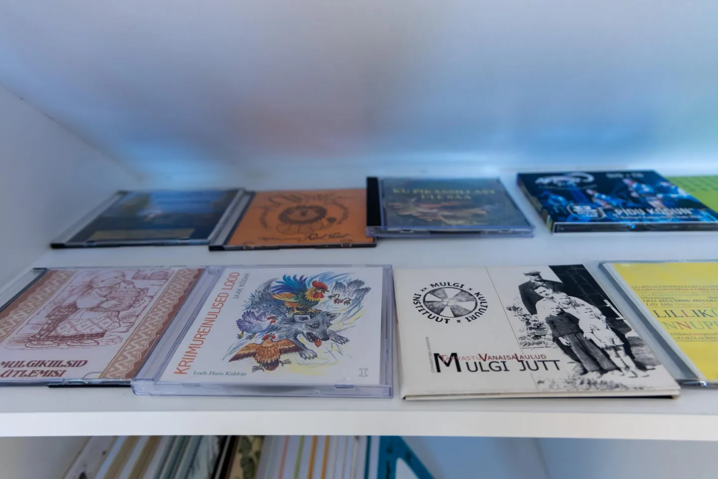 Mulgikeelsed raamatud mulgi elamuskeskuses. Pilt on illustratiivne.