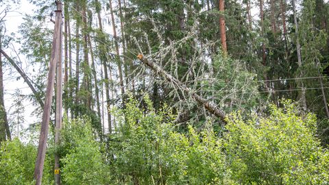 Äikseline ilm jättis sajad kodud elektrita