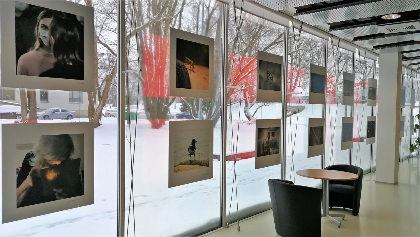 Pärnu keskraamatukokku pandi üles traditsiooniline näitus “Pärnumaa foto”.