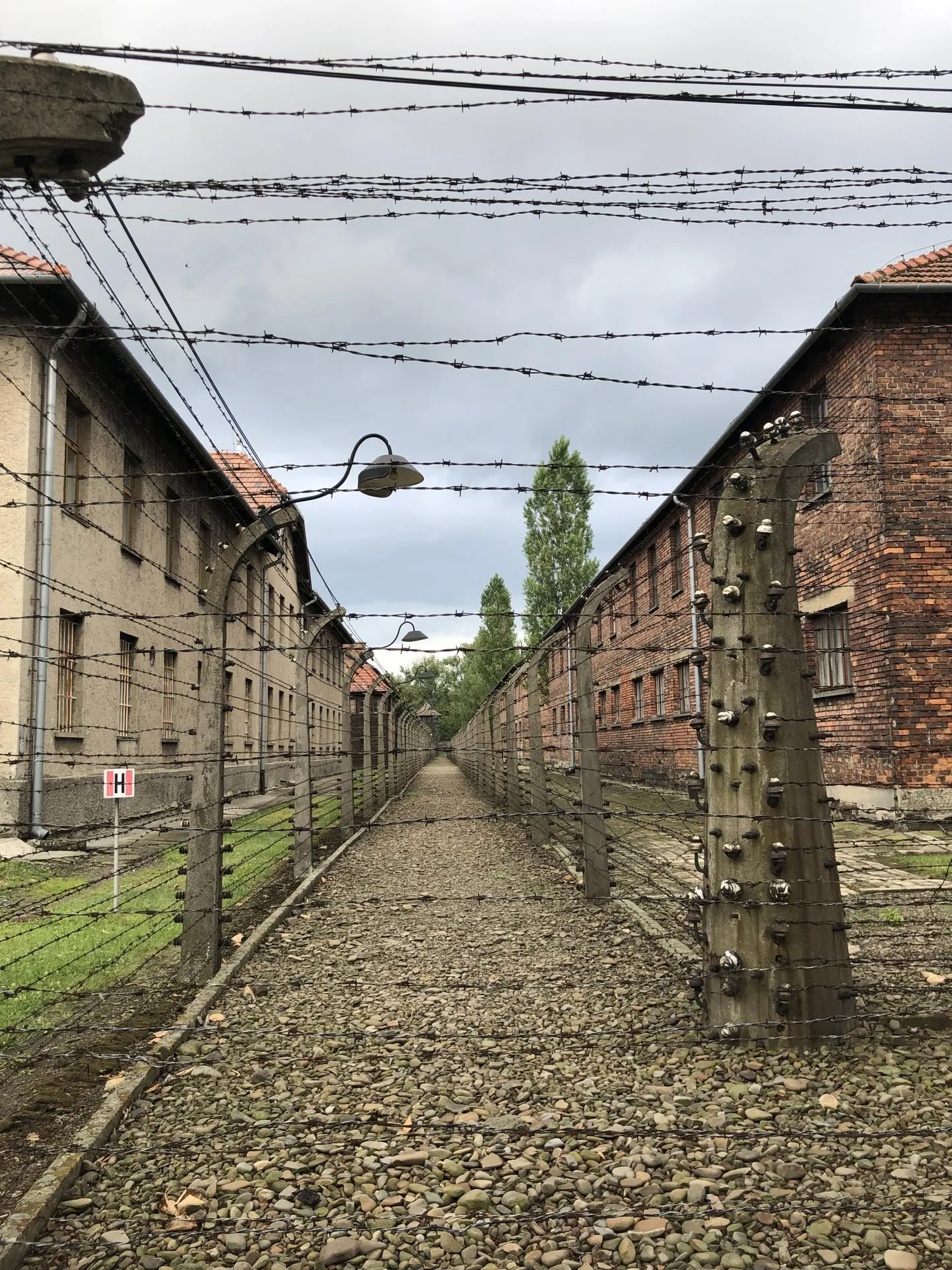 Raksta foto