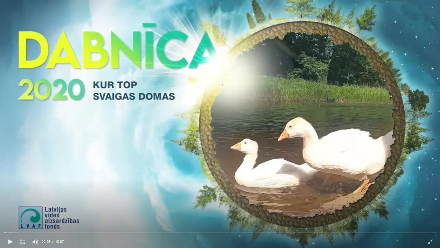 Raksta foto