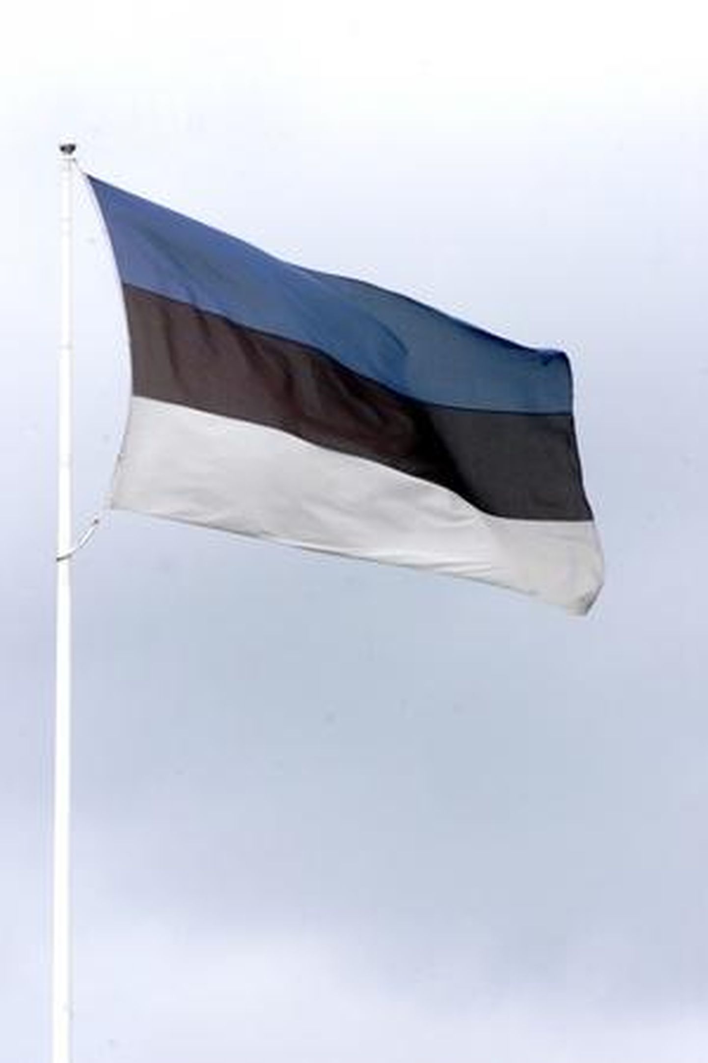 6. juulil lehvivad kõikjal sinimustvalged riigilipud.