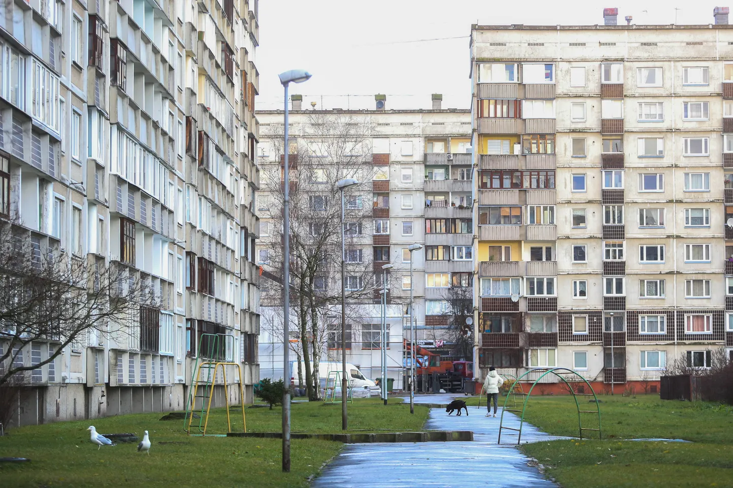 Raksta foto