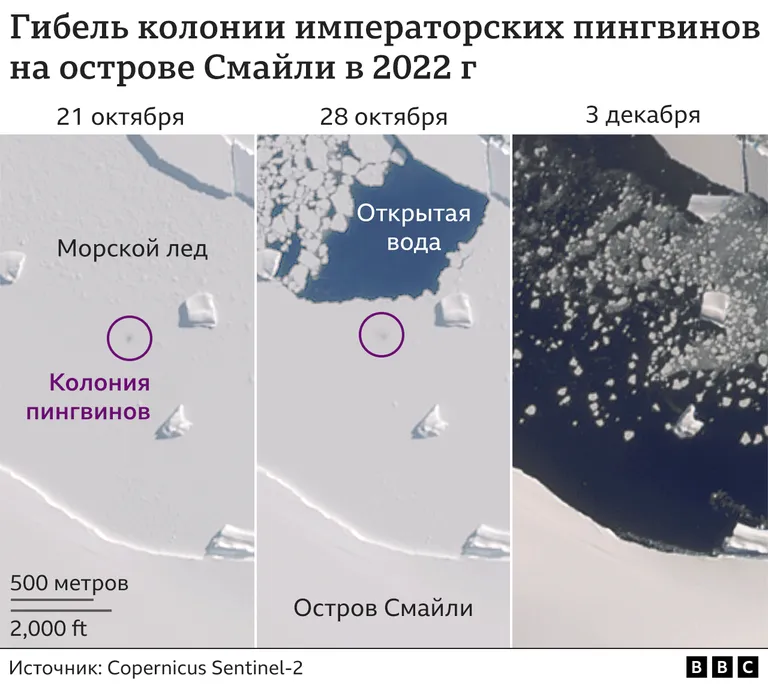 Фото статьи