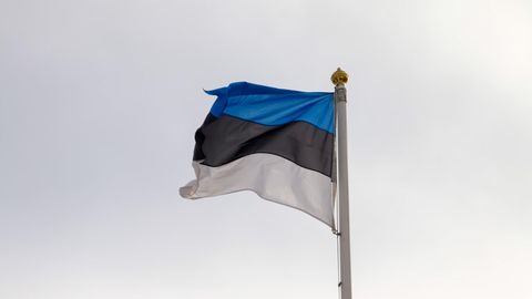 Eiki Berg: Eesti suureks mõtlemine ja seda pisendavad poliitilised otsused