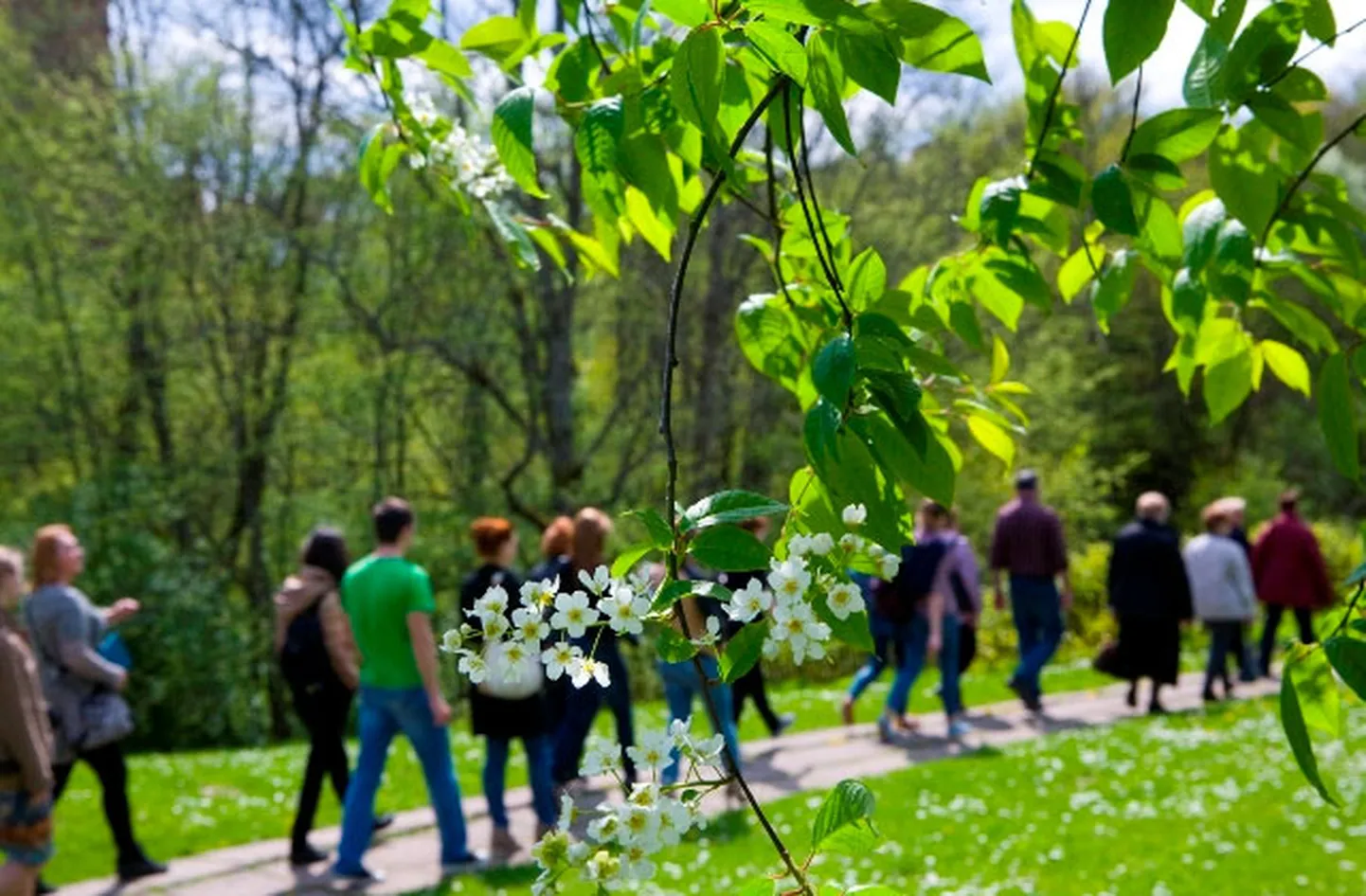 Raksta foto