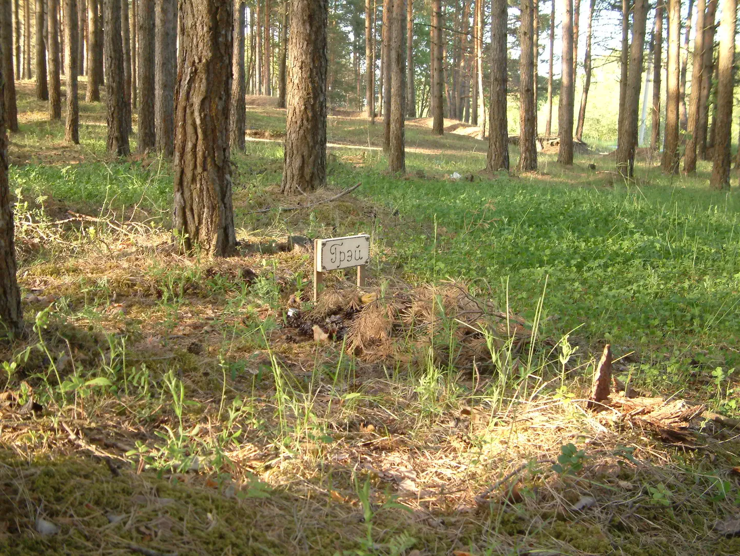 Lemmikloomade kalmistu annab tulevikus võimaluse matta lahkunud lemmik seadusi järgides.