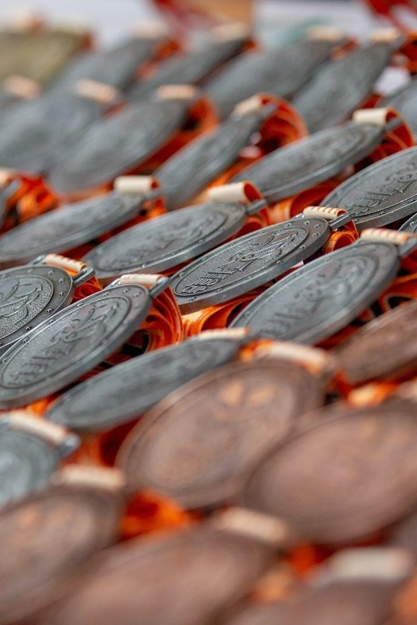 Noorte judoturniirilt Tallinn Judo Cup toodi üks medal ka Rakveresse.