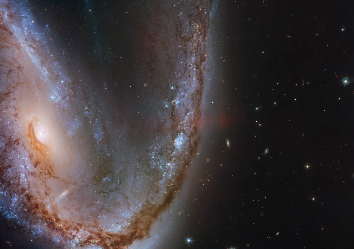 Galaktika “NGC 2442”, kas uzņemta ar Habla kosmisko teleskopu. Šajā galaktikā norisinājās supernovas sprādziens “SN2015F”, kuru radīja baltais punduris. Supernova bija tik spoža, ka bija redzama no Zemes pat ar nelielu teleskopu.