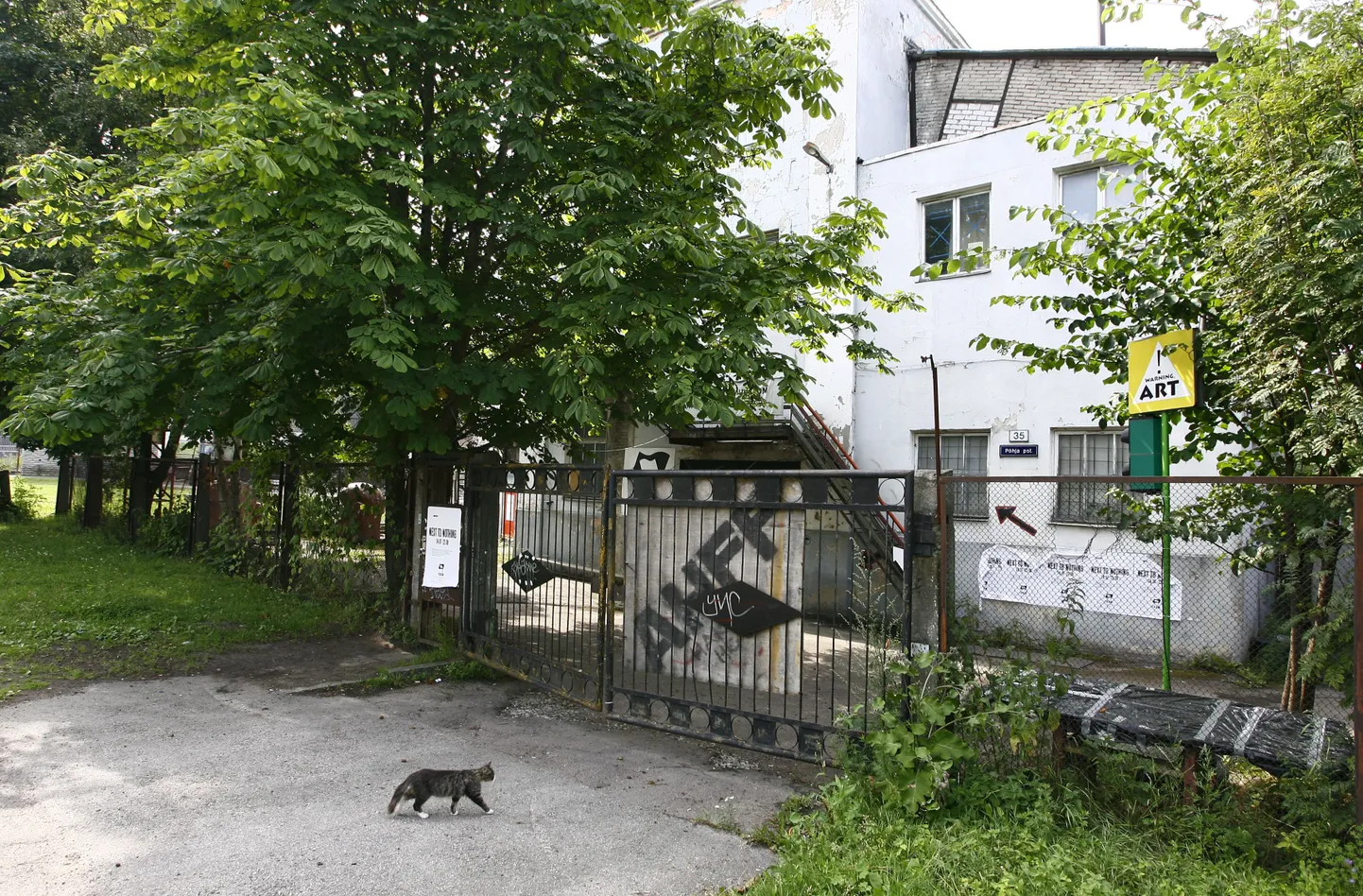 Vaade EKKM hoonele, Põhja pst.35.