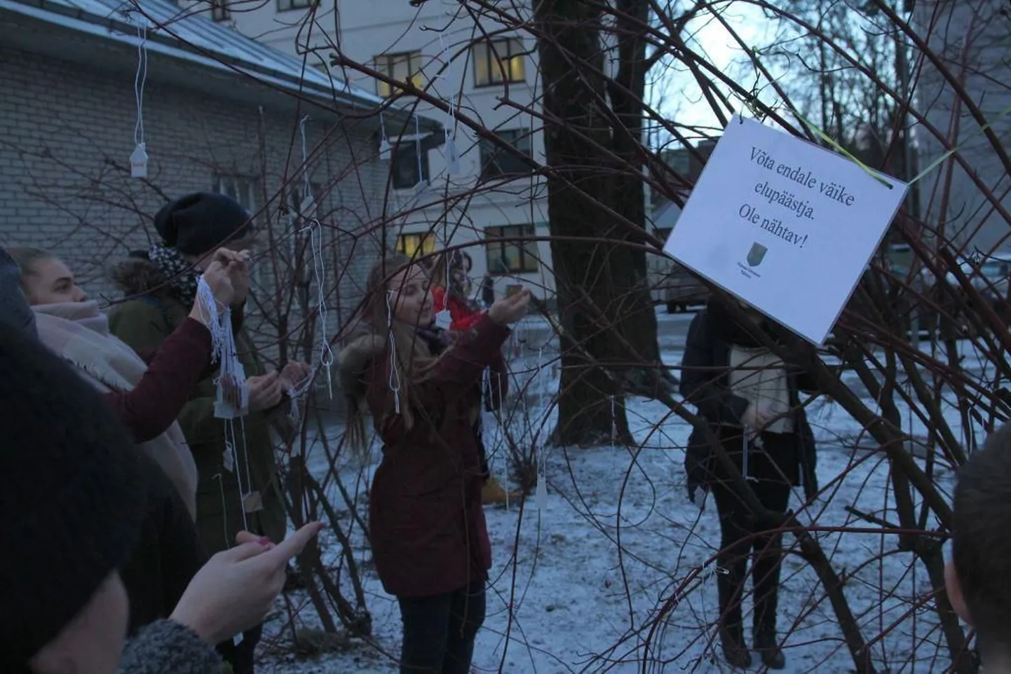 Nõmme helkuripuu.