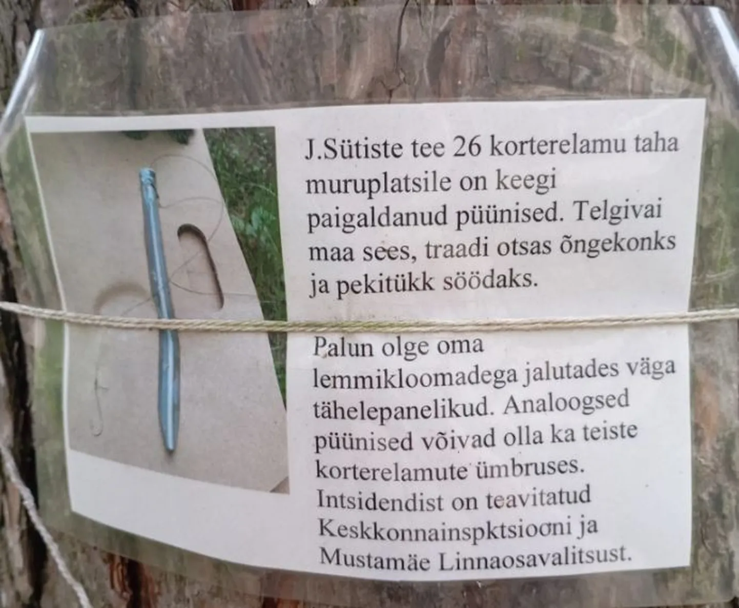 Объявление о ловушках, вероятно, предназначенных для домашних животных.