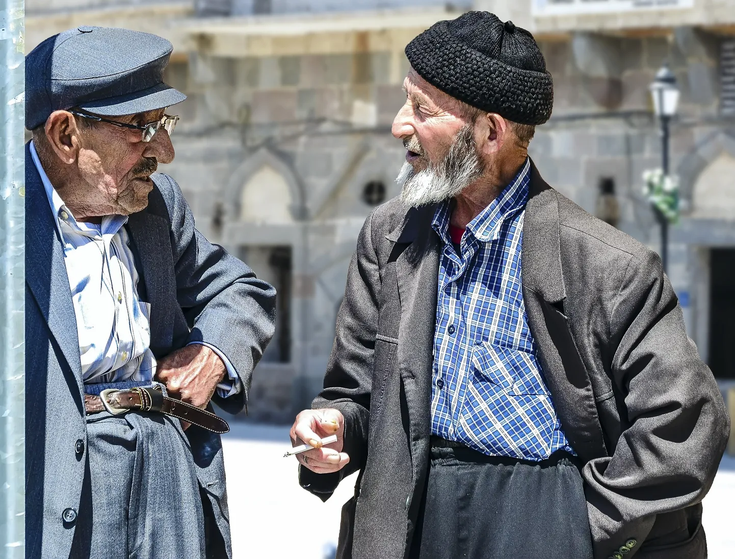 Artikli foto