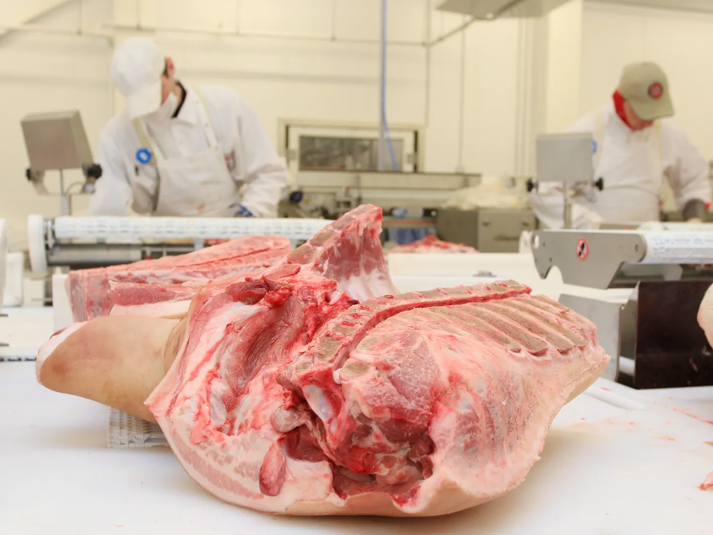 25aastaseks saanud Nõo lihatööstus