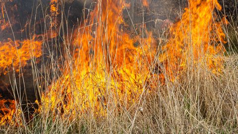 Ugunsgrēkā Rēzeknes novadā bojā gājis cilvēks