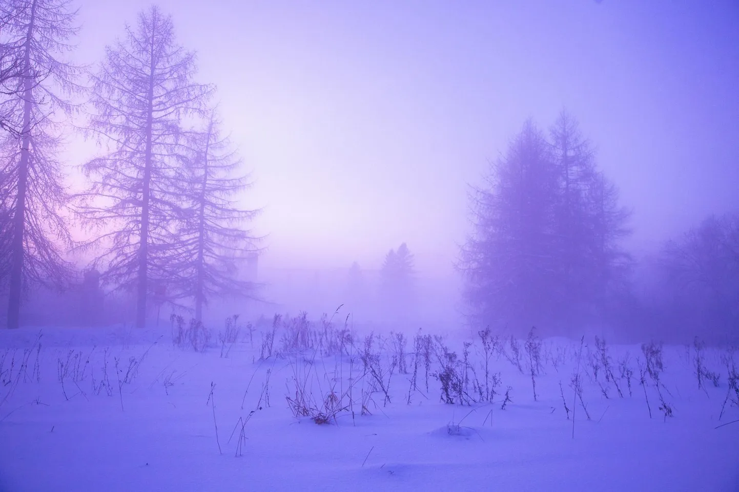 Pakaseline ilm muutub nädala lõpuks pehmemaks.