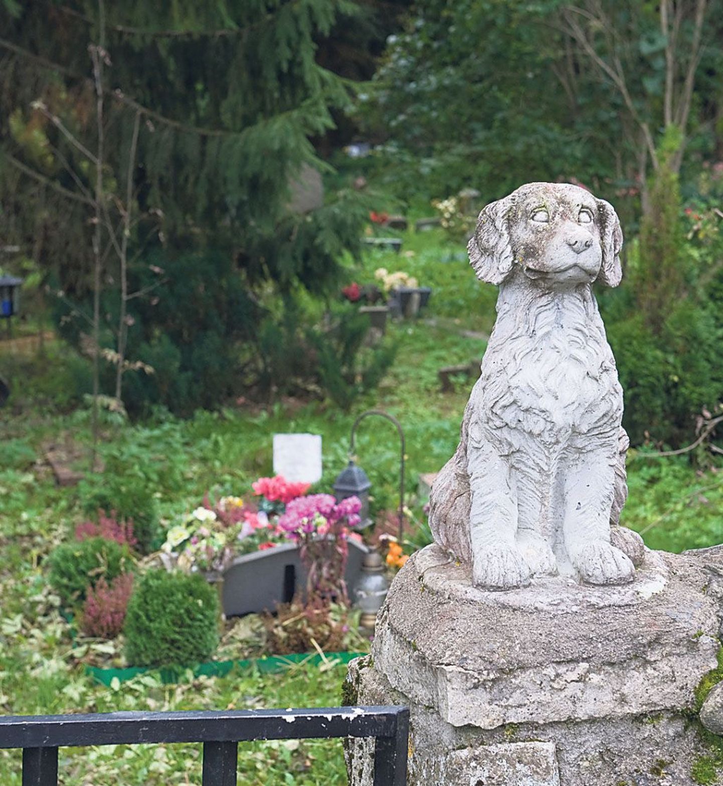 Jõelähtmes lemmikloomade kalmistul leiab uhkeid hauatähiseid.