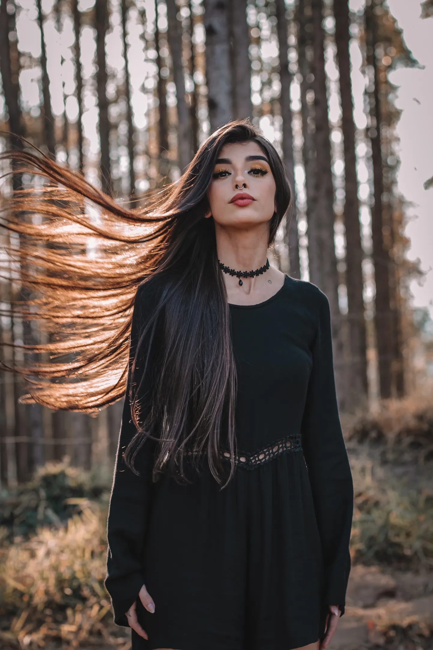 Artikli foto