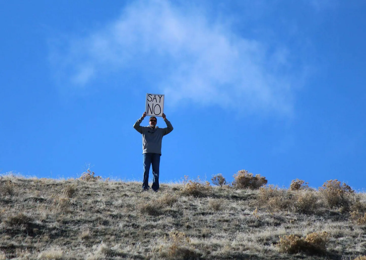 Artikli foto