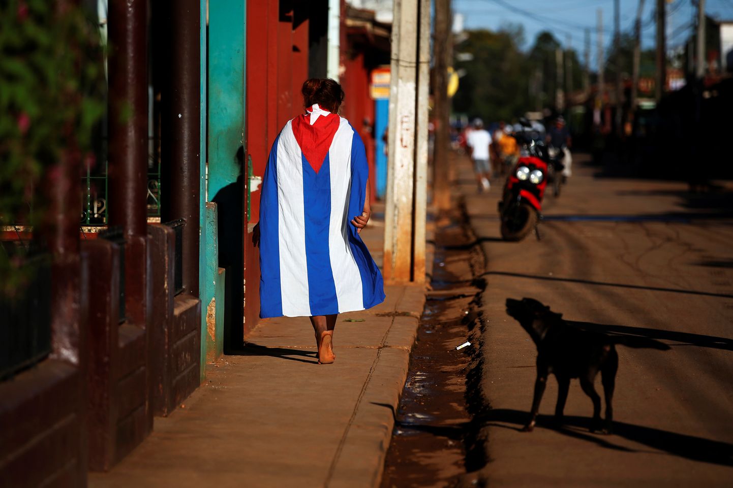 Koer haukumas Kuuba lippu kandva mehe peale.