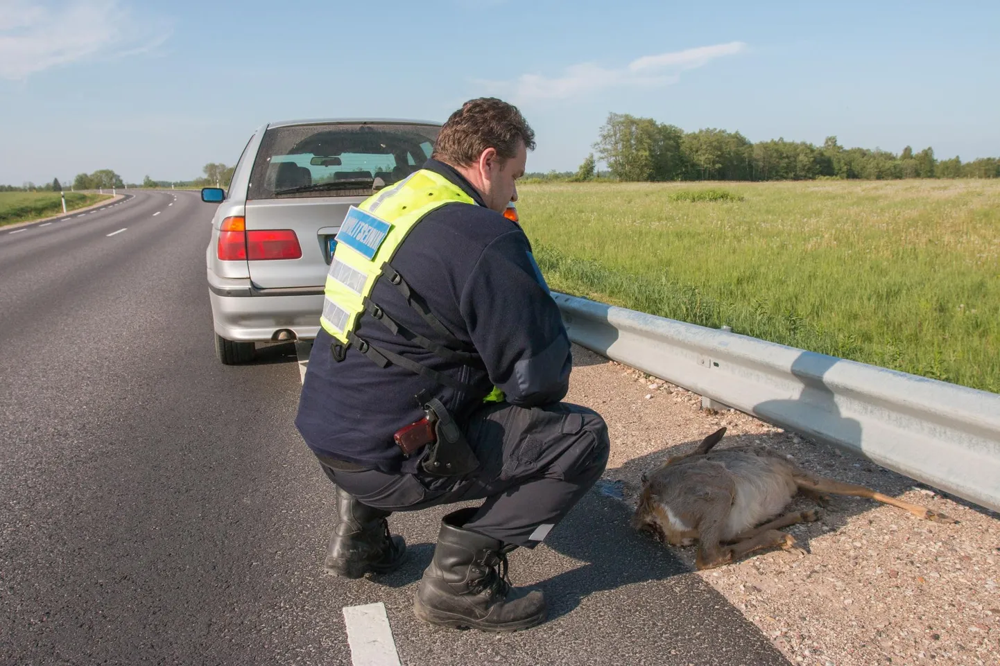 Auto alla jäänud metskits.