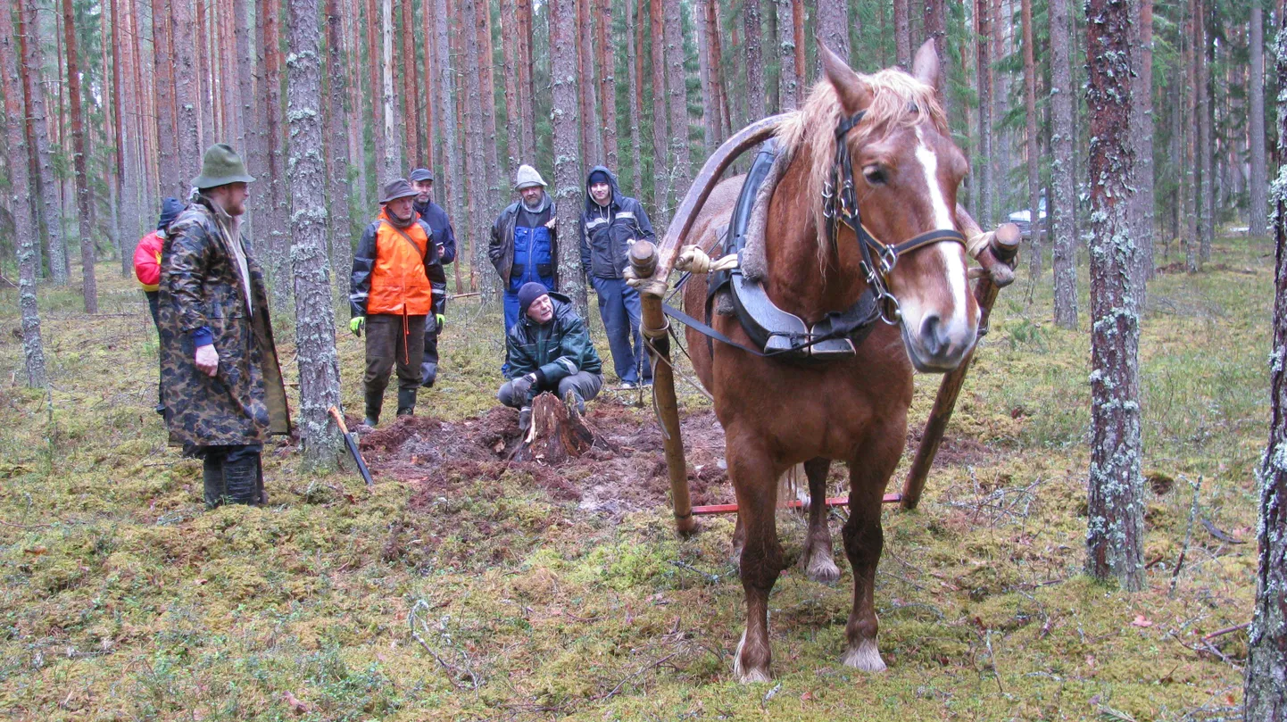 Hobusega kändu välja tõmbamas. Keskel Kalev Raudsepp, oranži jopega Meelis Kihulane.