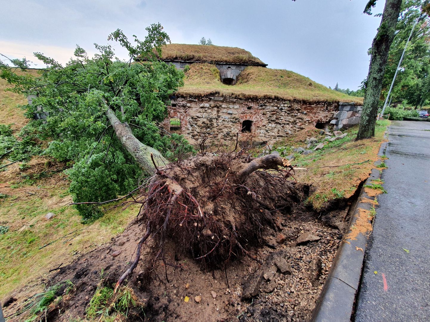 Negaisa laikā izgāzti un nolauzti koki Daugavpilī.