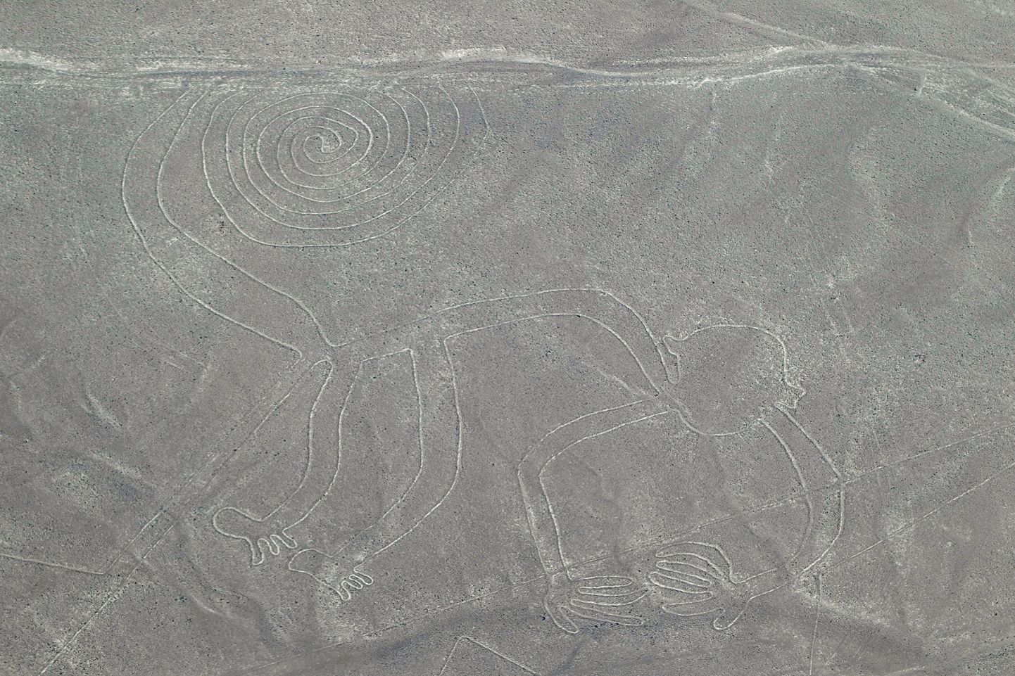 Nazca jooniste seast leiti labürint. Fotol ahvi kujutav joonis