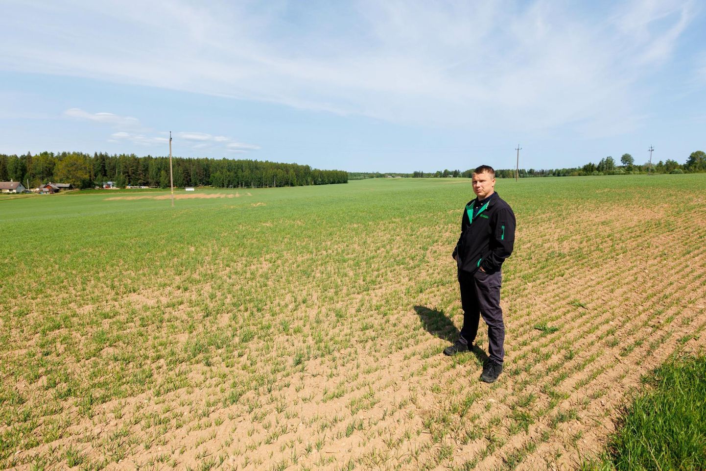 Võrumaa Talupidajate Liidu juhatuse liige Ivar Rosenberg seisab põllul, kus on põua tõttu kohati taimedeta laigud.
