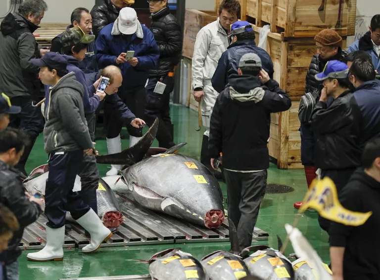Kalaärimehed Tokyo kalaturul oksjonile minevat kaupa vaatamas.
