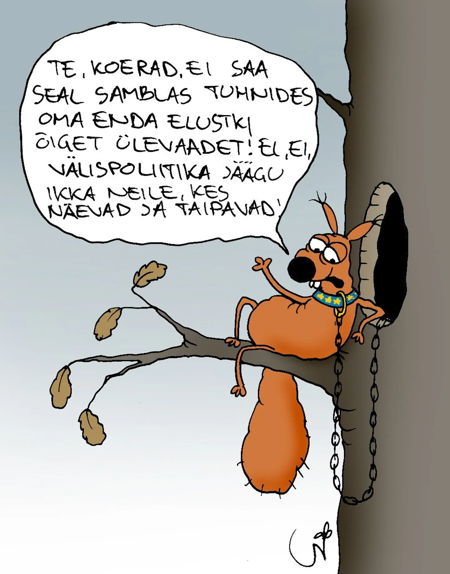Artikli foto