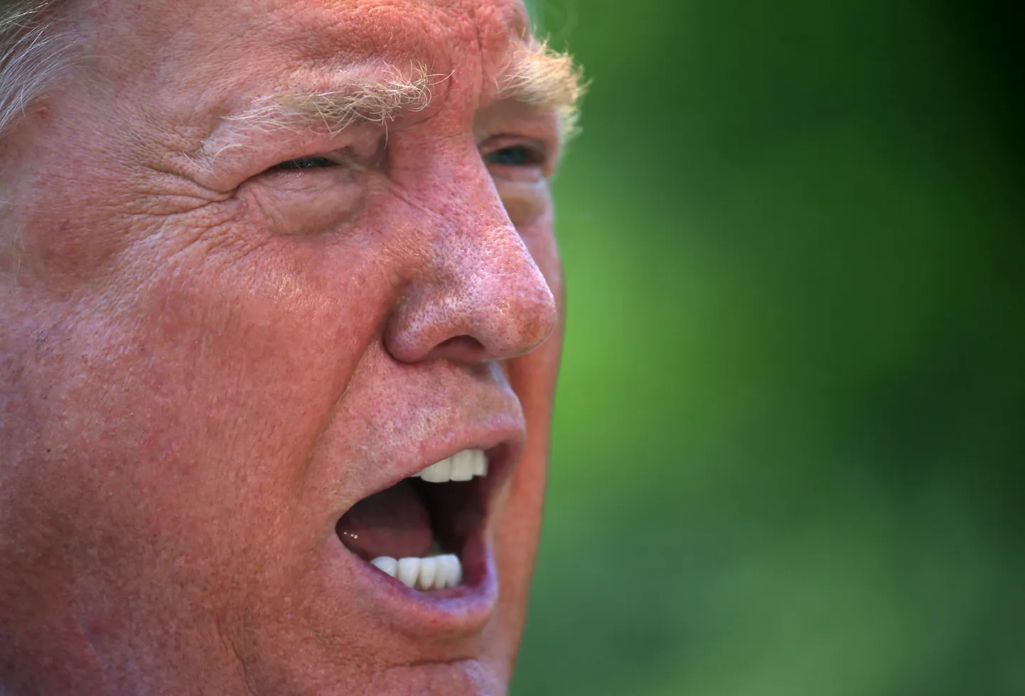 USA president Donald Trump.