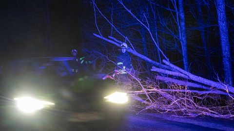 Päästjad koristasid tuulemurdu ja kustutasid autot