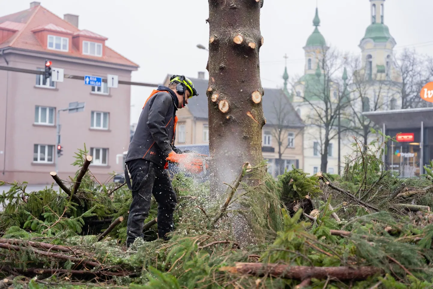 Pärnu esinduskuused võeti maha.