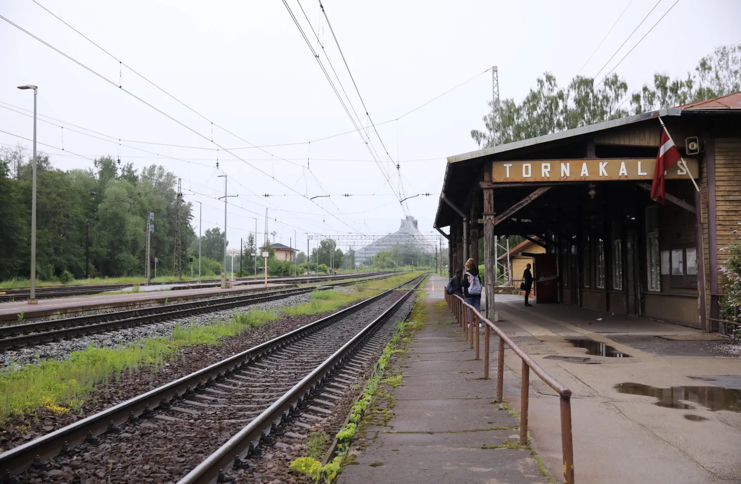 Фото статьи