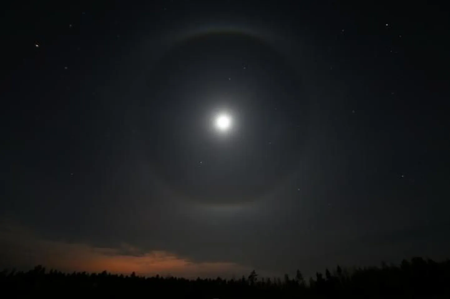 Halo Võrumaal.