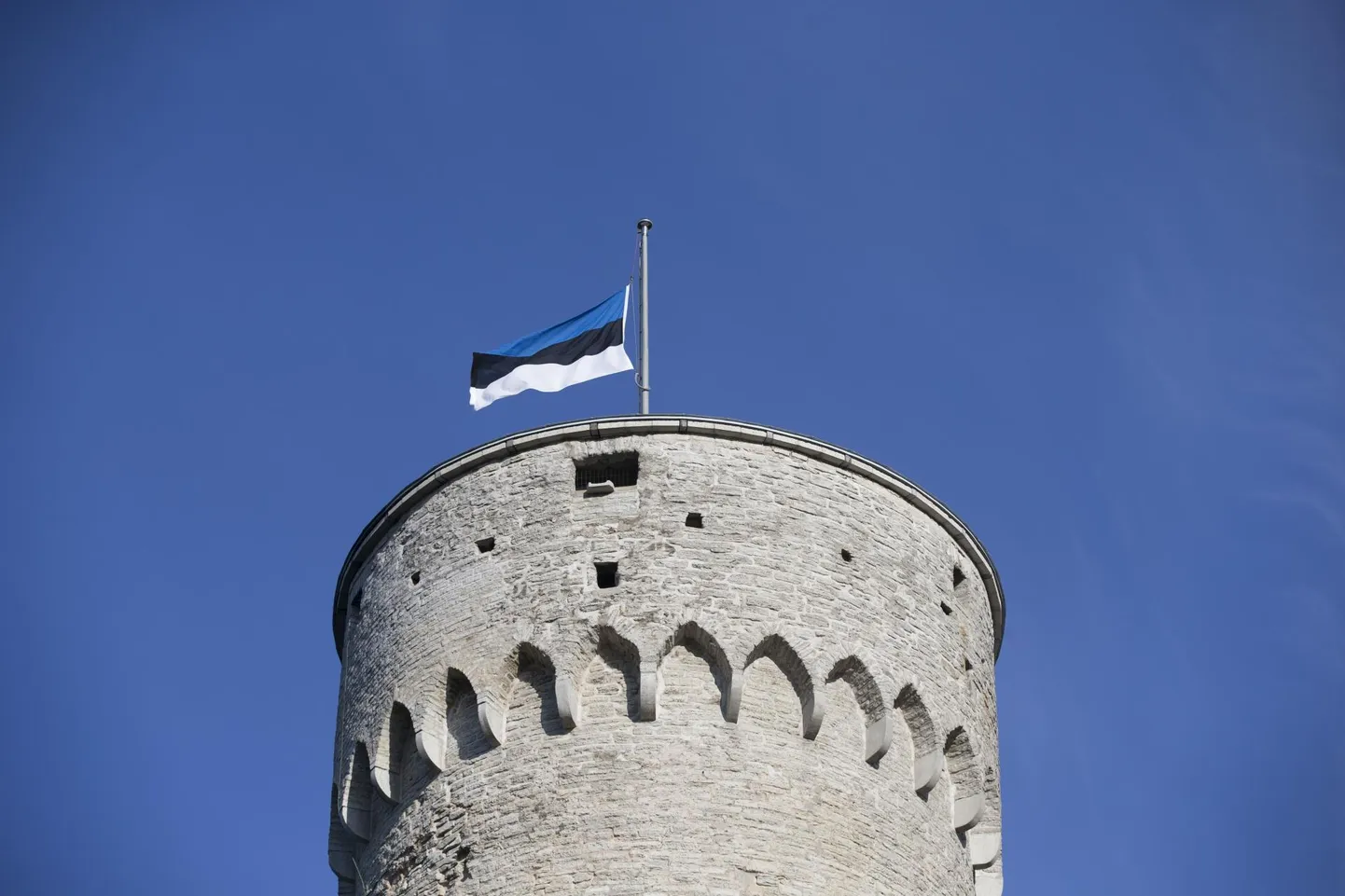 Eesti lipu pidulik heiskamine Pika Hermanni tornis.