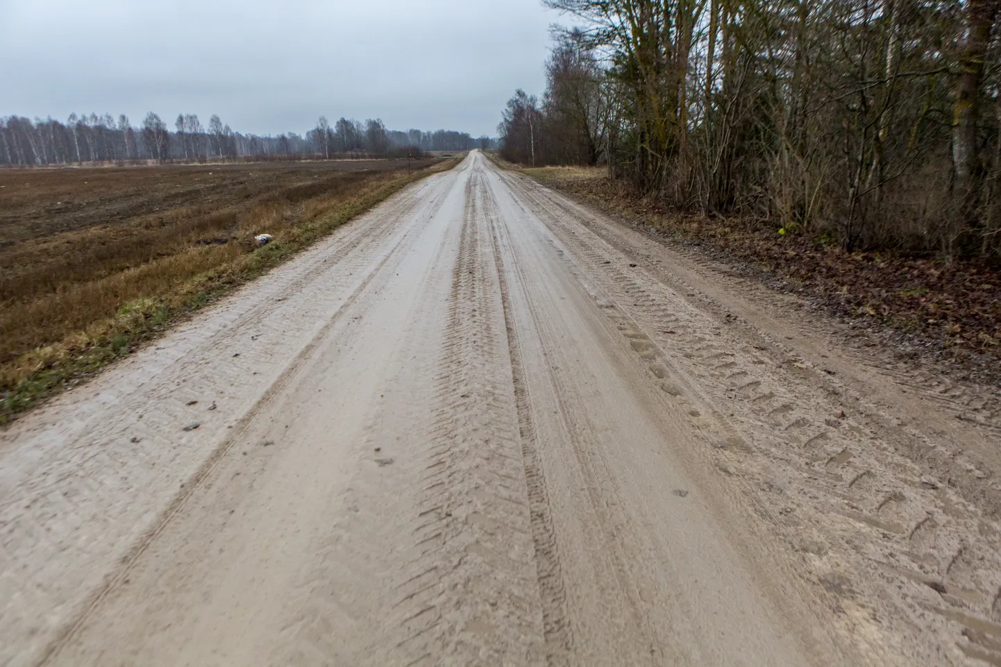 Sel aastal tegeletakse kolme põhilise teemaga. Esimene neist on vallale kuuluvad teed.