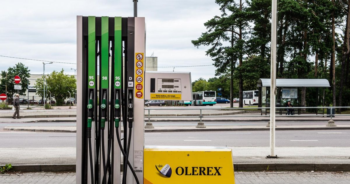 RIA: Olerexi väitel on ühe korra allalaaditud andmed tänaseks hävitatud