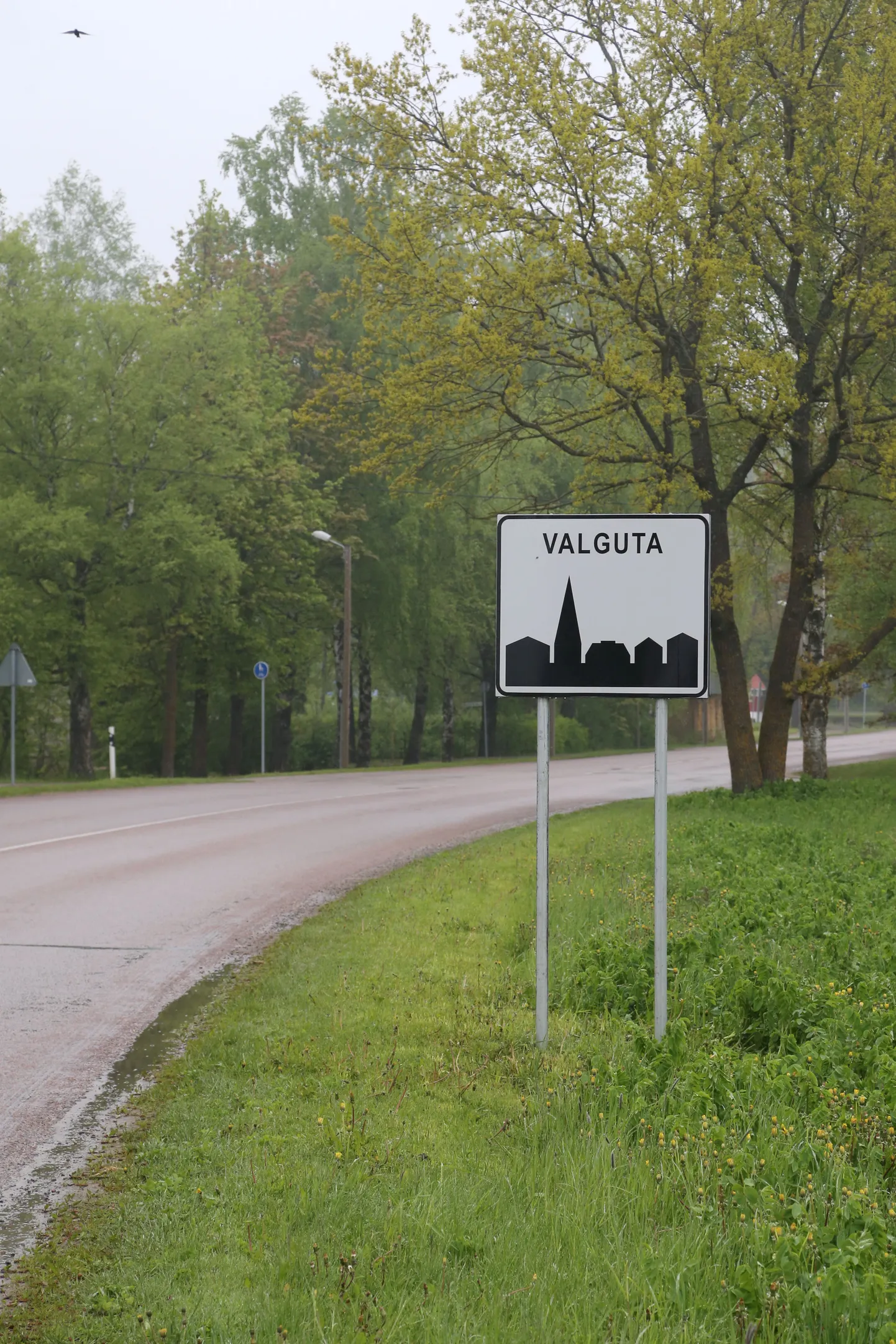 Teiste seas saab haldusreformi puudutavate dokumentidega tutvuda Valgutal. Kohalikus raamatukogus.