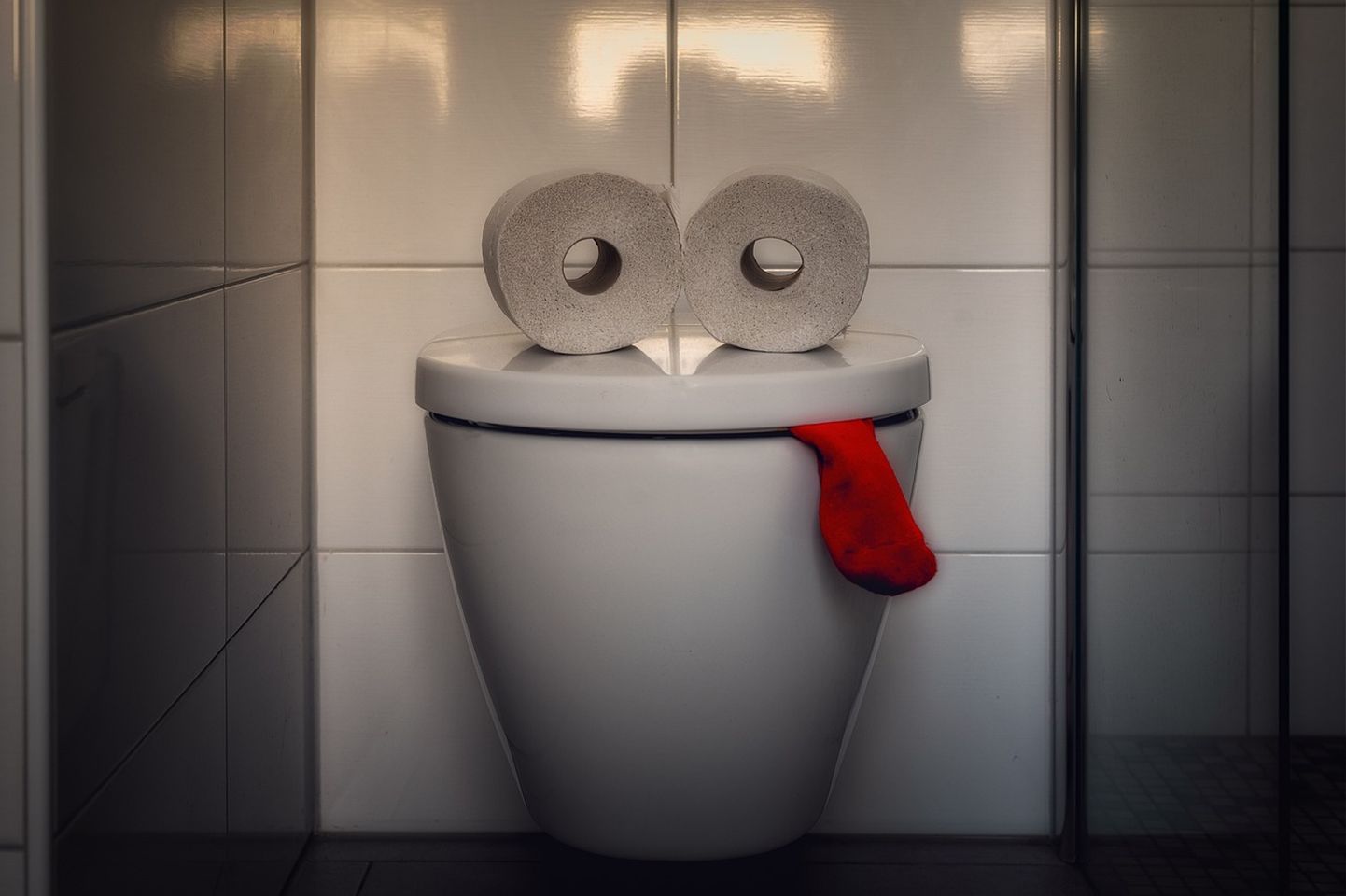 Analüüsiv ja isegi pildistav WC pott kujutab endast turvaohtu, kuigi näeb kasulik ja nunnu välja, hoiatavad turvaeksperdid.