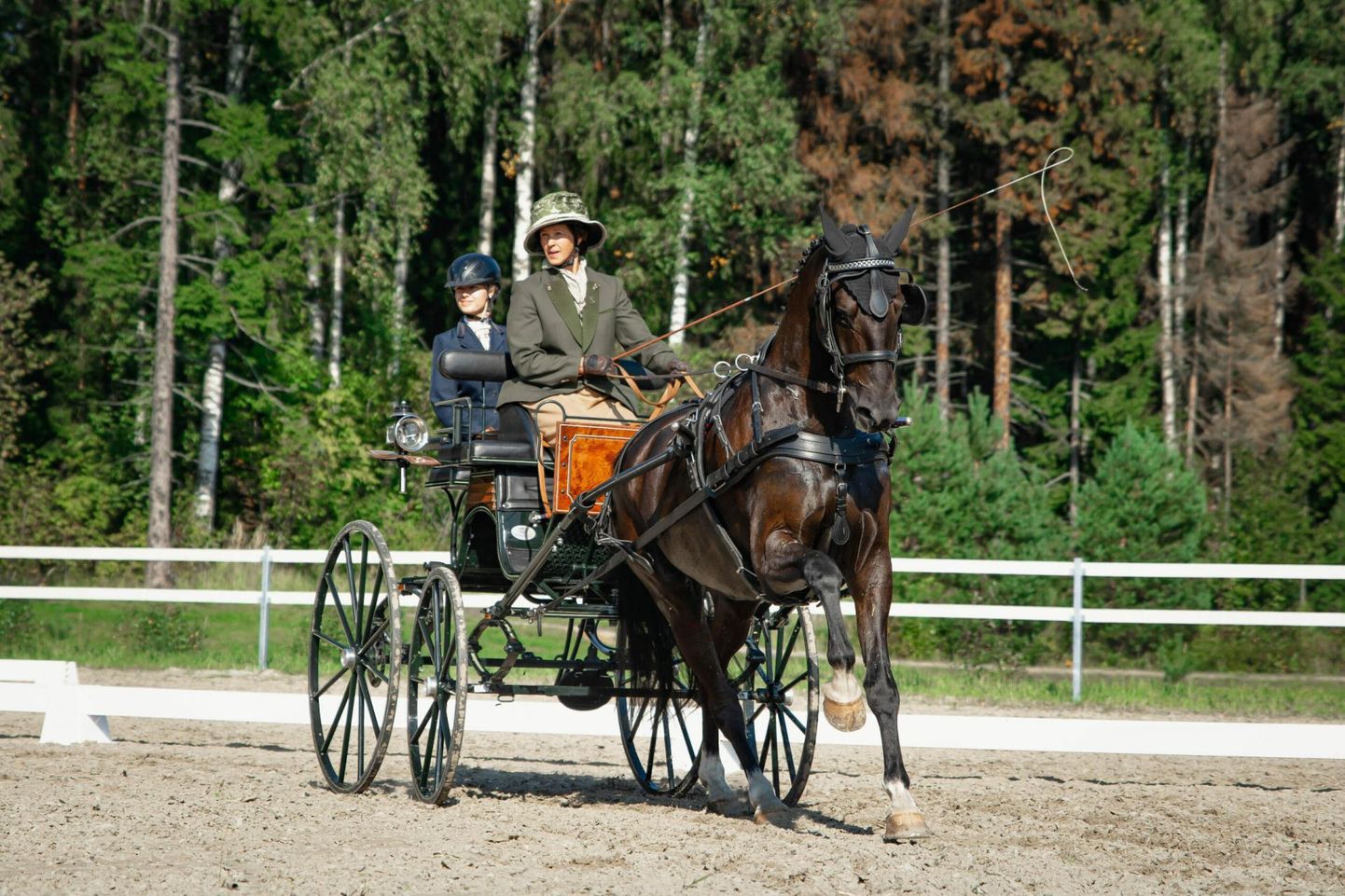 CHI Pärnu ratsaspordifestivalil on võistlustules rakendisportlased.
