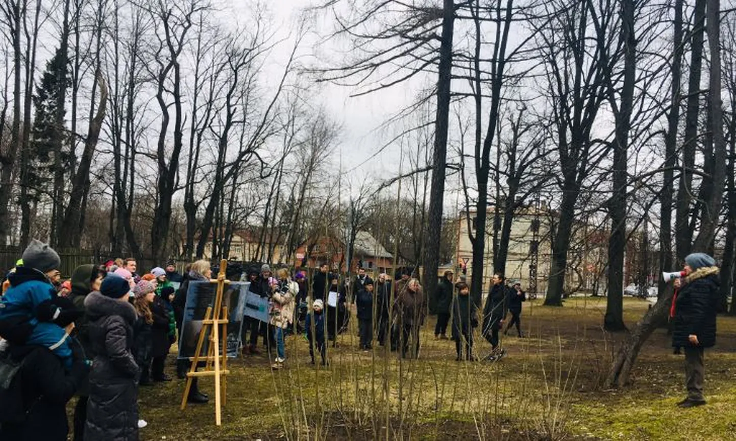 Raksta foto