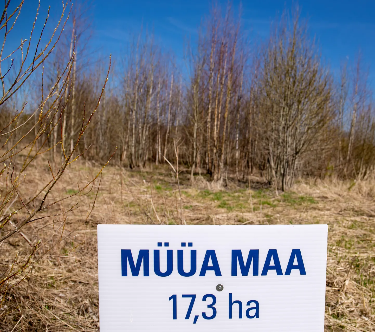 Maamüügi kuulutus.
