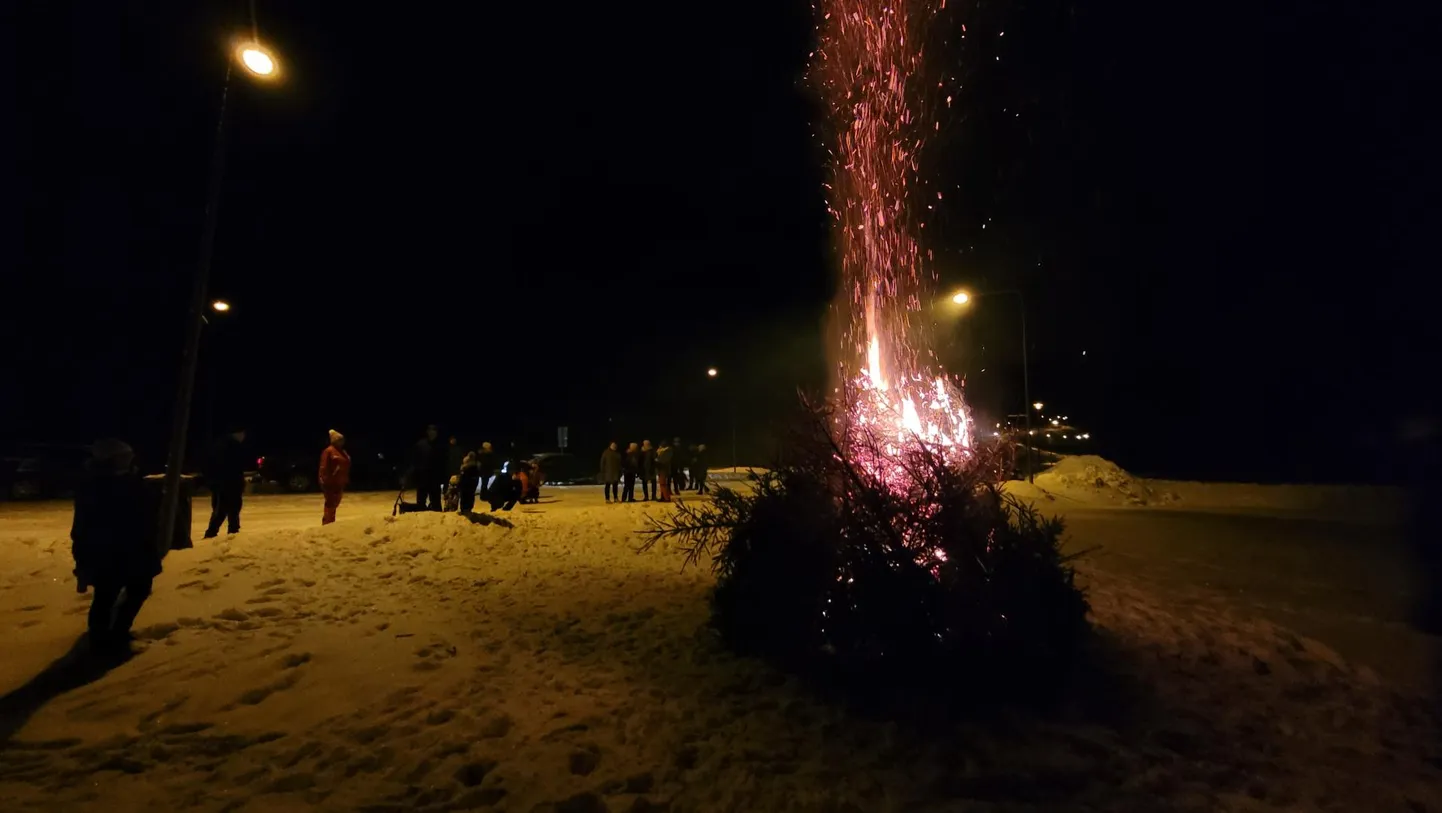Jõulukuuse said lõkkesse tuua kõik, kes soovisid.