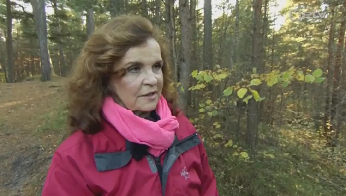 Riina Hein Pealtnägijas